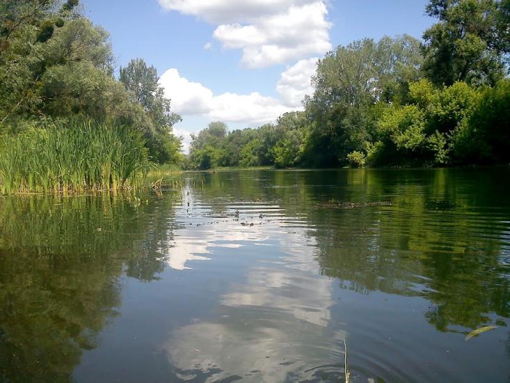 Синичине з panoramio.com - Synychyne
