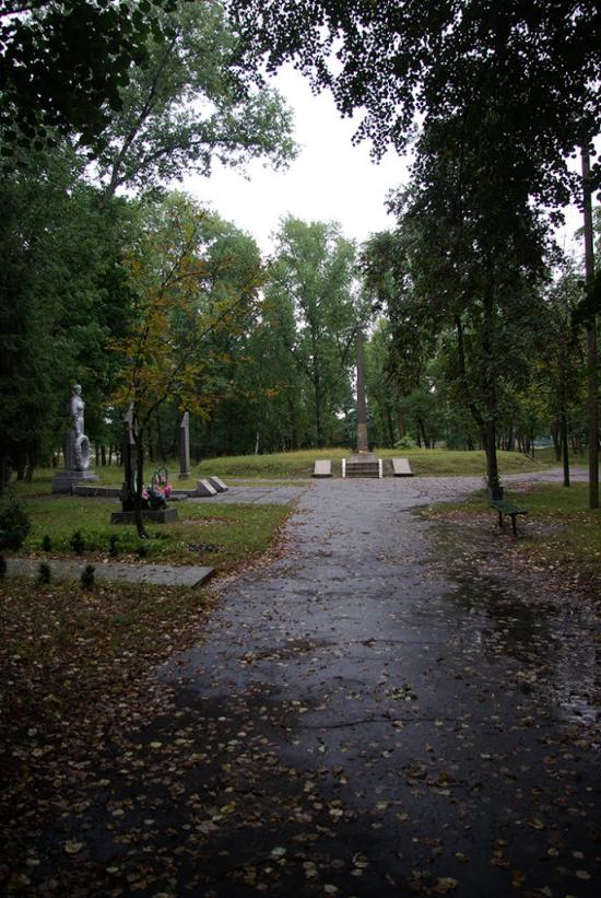 Ріпки з panoramio.com - Репки