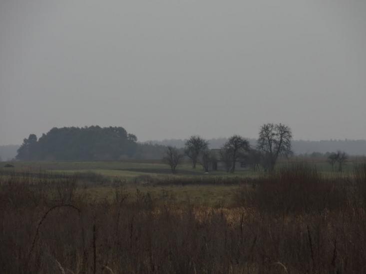 Озеро з panoramio.com - Озеро
