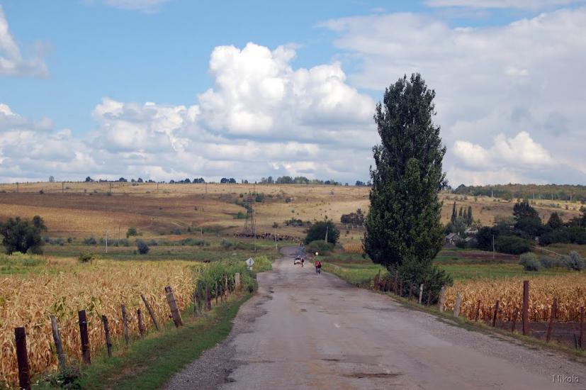 Верхньокам'янське з panoramio.com - Верхньокам'янське