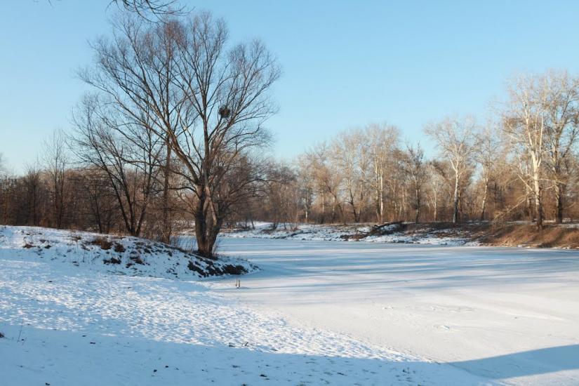 Синичине з panoramio.com - Синичине
