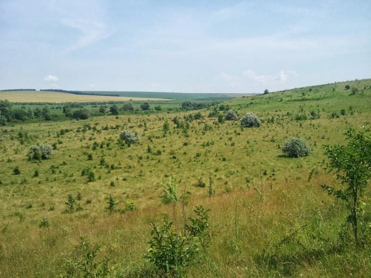 Новоукраїнка з panoramio.com - Новоукраїнка