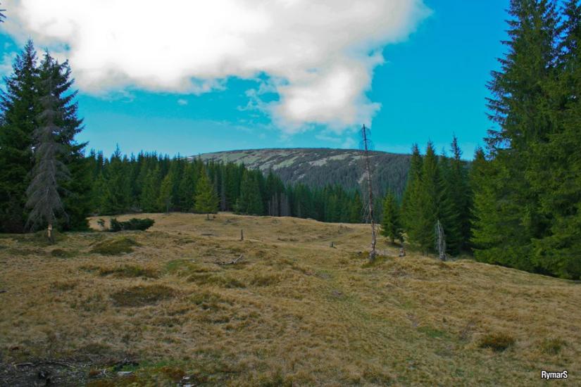 Бистриця з panoramio.com - Бистриця