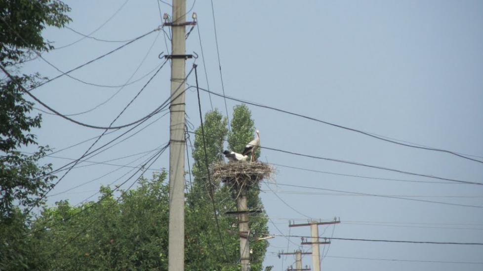 Рокитне з panoramio.com - Ракитное