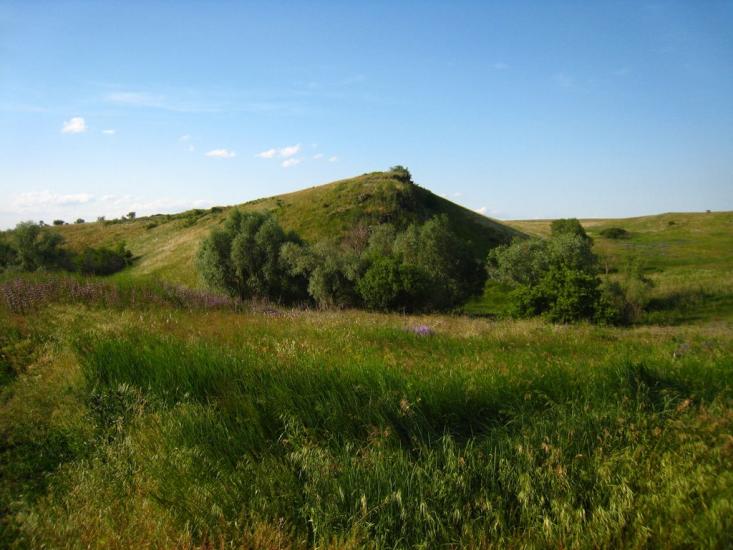 Малокостянтинівка з panoramio.com - Малоконстантиновка