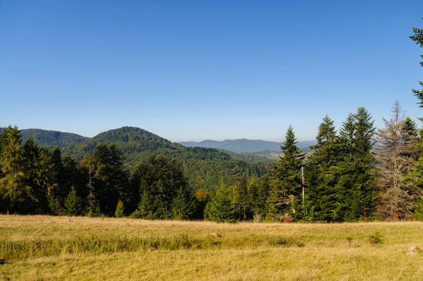 Ужок з panoramio.com - Ужок