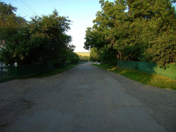 Несвоя з panoramio.com - Несвоя