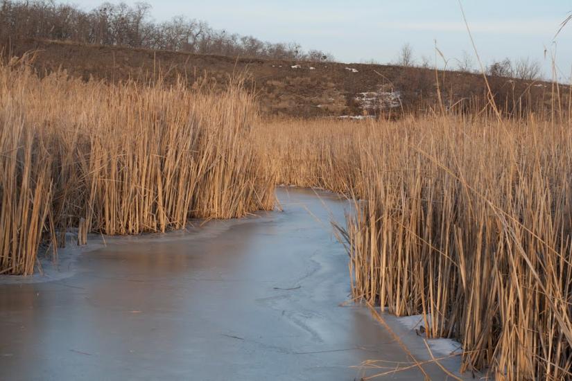 Коврай з panoramio.com - Коврай