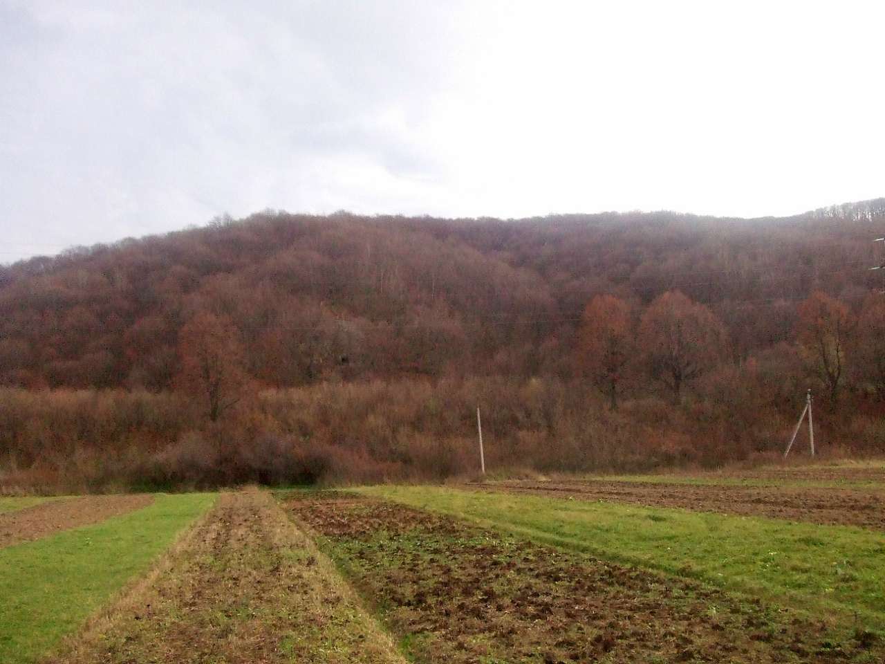 краєвид - Rozgirche