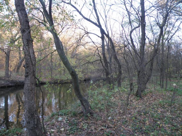 Орлівщина з panoramio.com - Орловщина