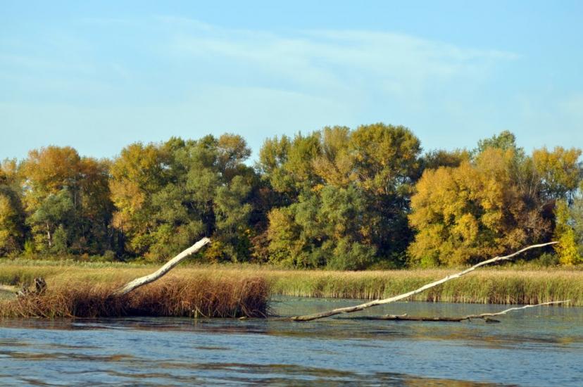 Садки з panoramio.com - Садки