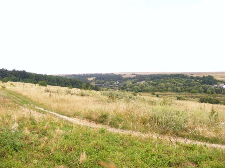Примощаниця з panoramio.com - Примощаниця