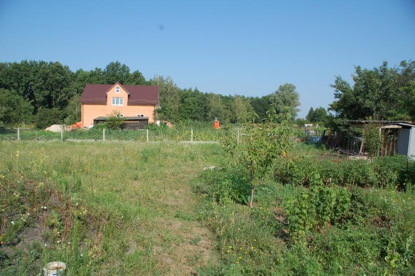 Власівка з panoramio.com - Власівка