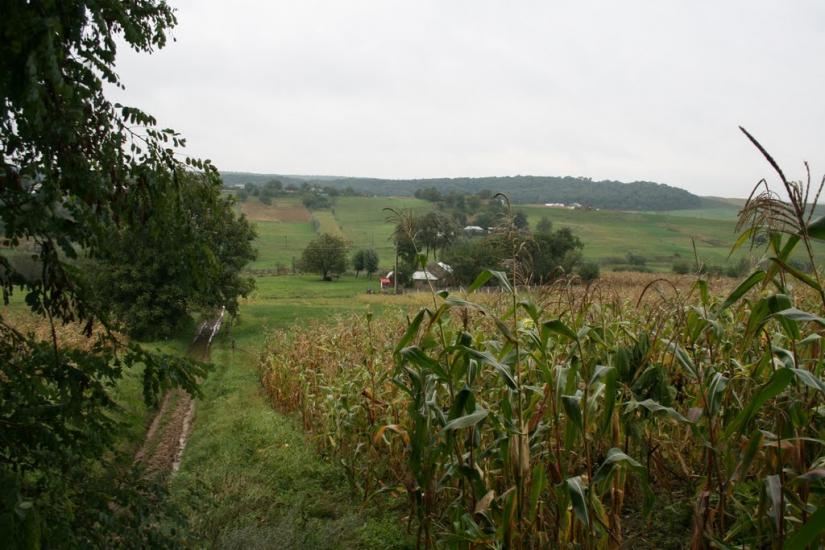 Ванчиківці з panoramio.com - Ванчиковцы