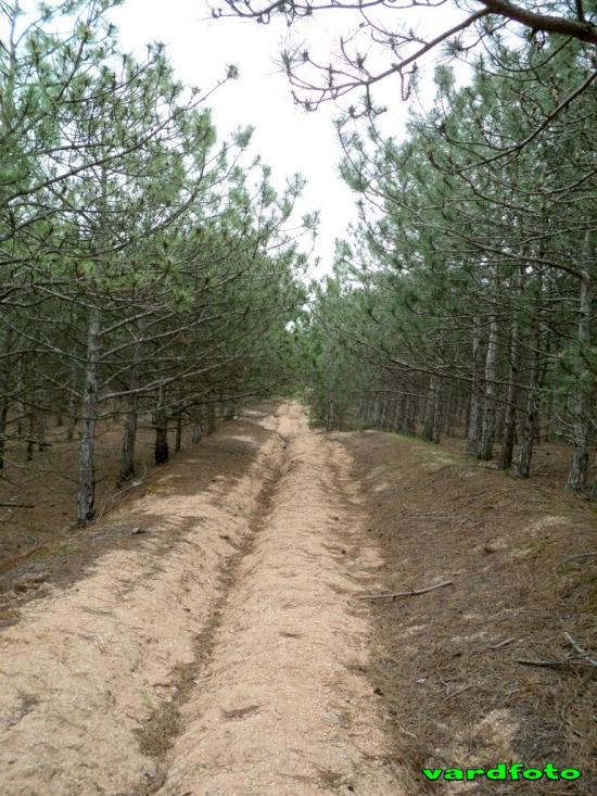 Пісочне з panoramio.com - Пісочне