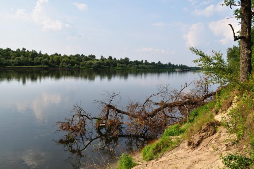 Скиток з panoramio.com - Скиток