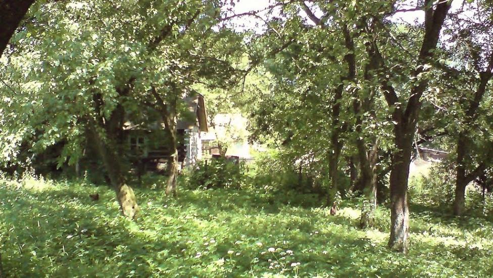 Стрілковичі з panoramio.com - Стрелковичи