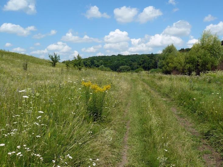 Сніжки з panoramio.com - Сніжки