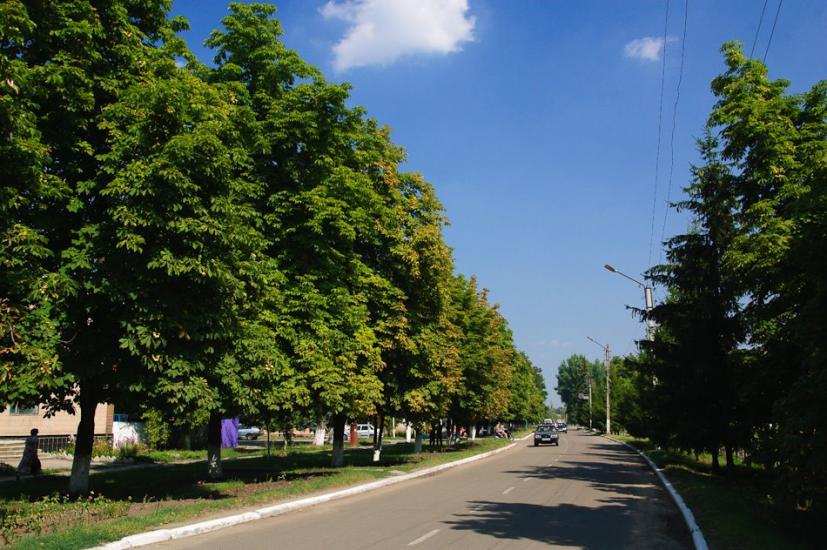 Борова з panoramio.com - Борова