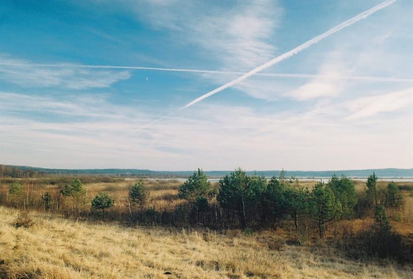Івано-Франкове з panoramio.com - Ivano-Frankove