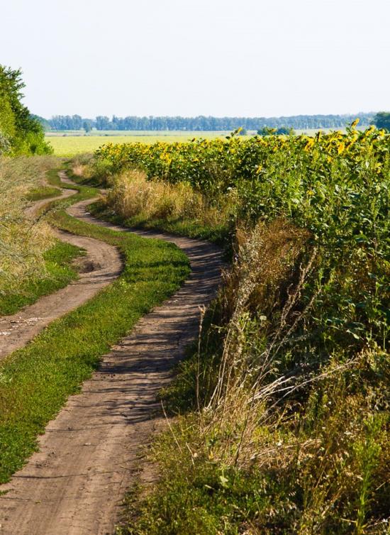 Борова з panoramio.com - Borova