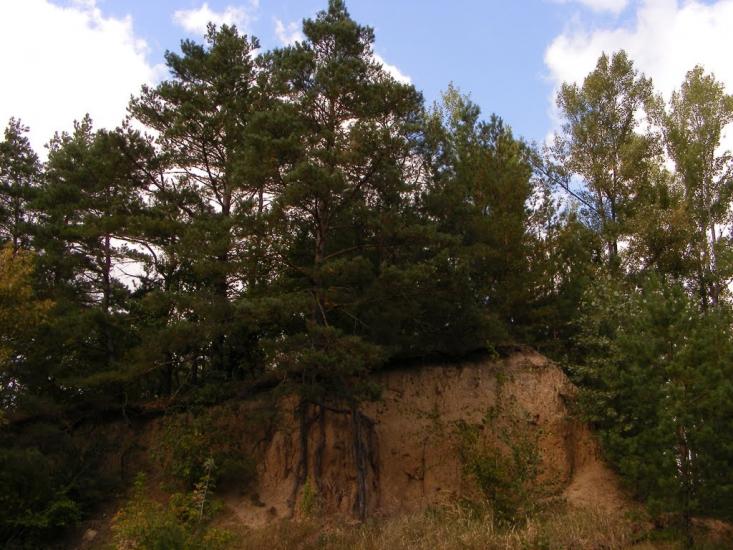 Яреськи з panoramio.com - Яреськи