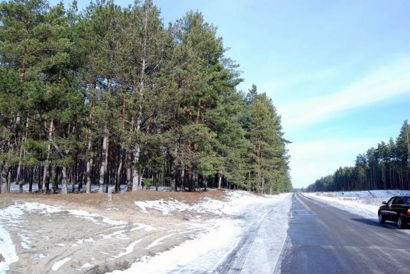 Зачепилівка з panoramio.com - Зачепилівка