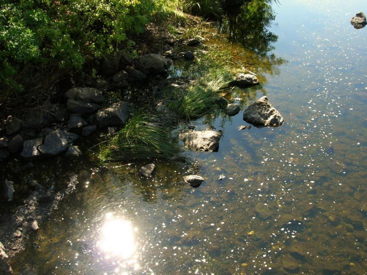 Недайвода з panoramio.com - Nedayvoda