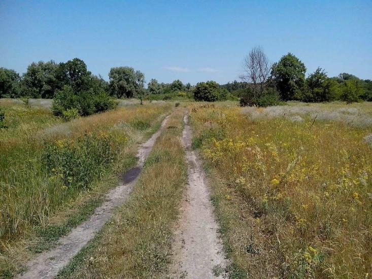 Говтва з panoramio.com - Govtva