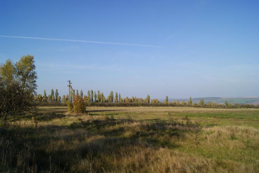 Несвоя з panoramio.com - Nesvoya