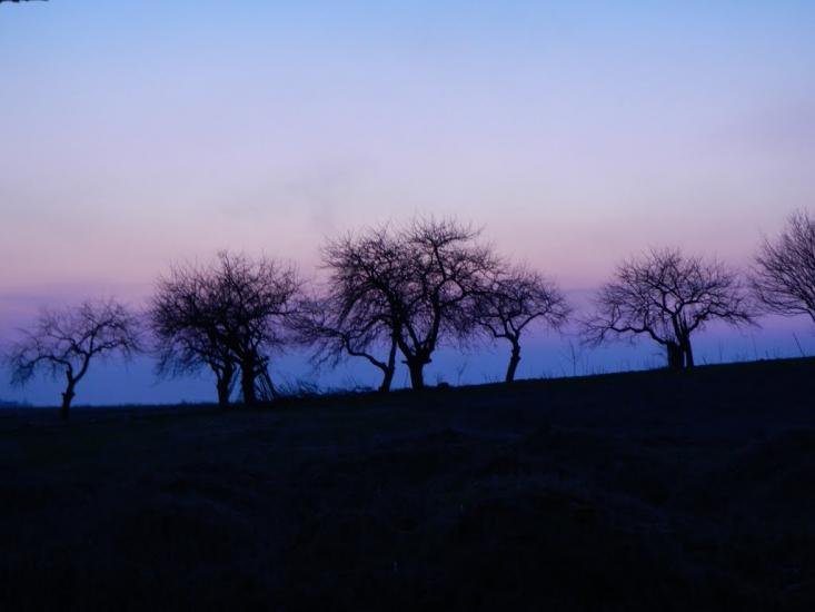 Великий Любінь з panoramio.com - Великий Любінь