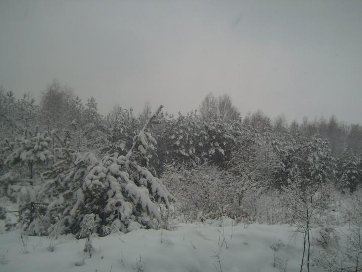 Березань з panoramio.com - Berezan