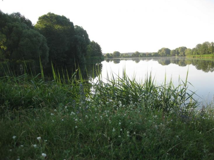 Музичі з panoramio.com - Музычи