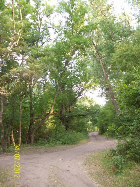Мигія з panoramio.com - Mygiya