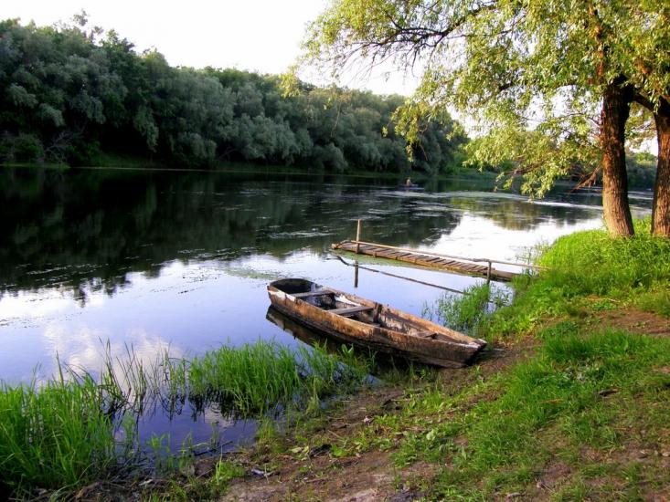 Пискунівка з panoramio.com - Pyskunivka