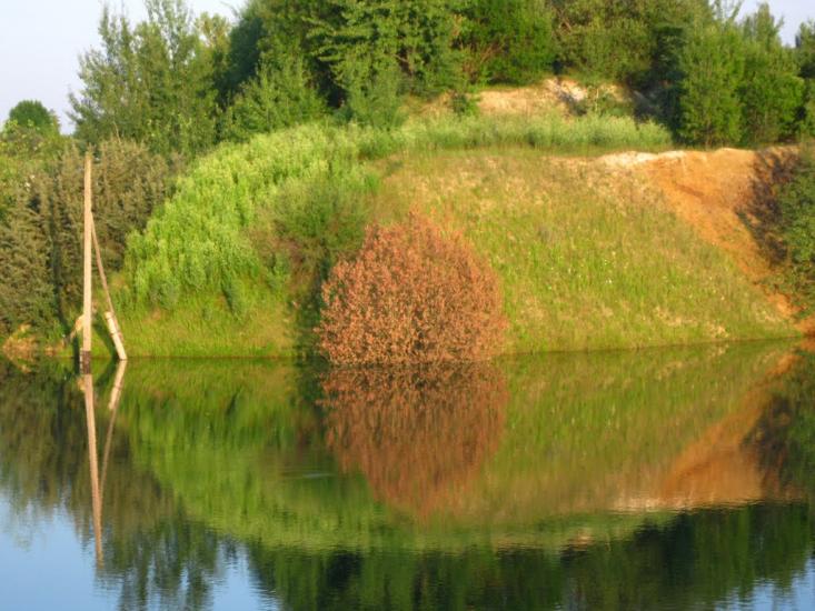 Берестовець з panoramio.com - Берестовець