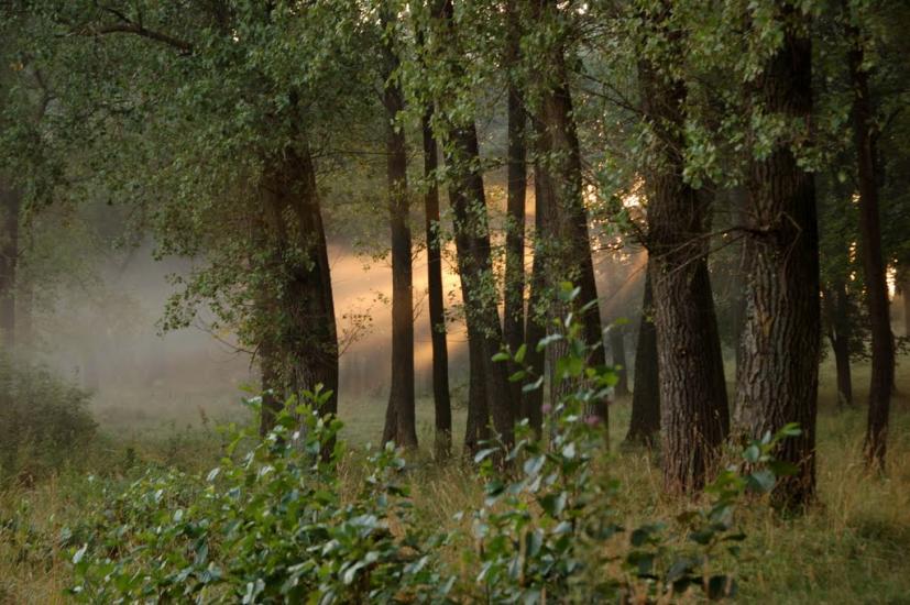 Ходорів з panoramio.com - Ходоров