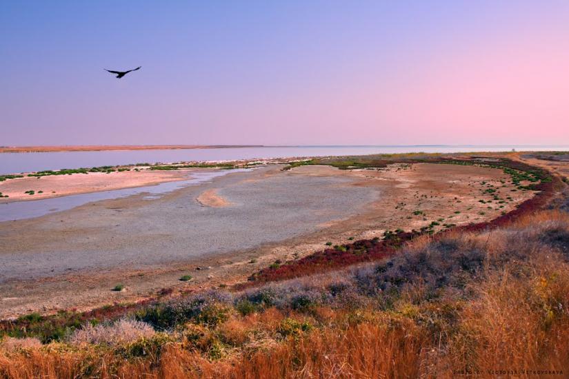 Чонгар з panoramio.com - Чонгар