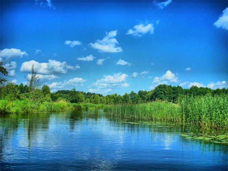 Березневе з panoramio.com - Березневе