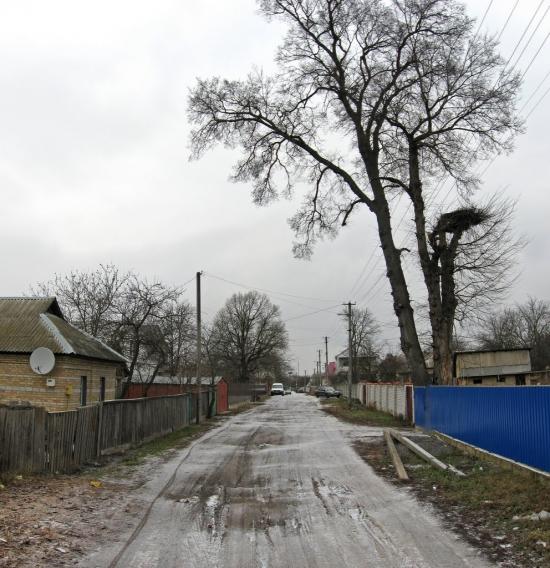 Демидів з panoramio.com - Демидов