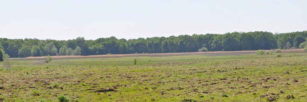 Великий Тростянець з panoramio.com - Великий Тростянець