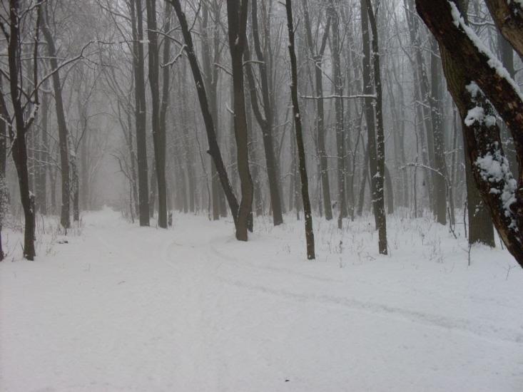 Старий Мерчик з panoramio.com - Старий Мерчик