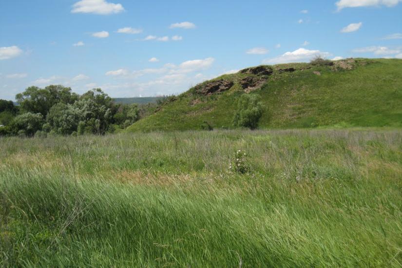 Малокостянтинівка з panoramio.com - Малоконстантиновка