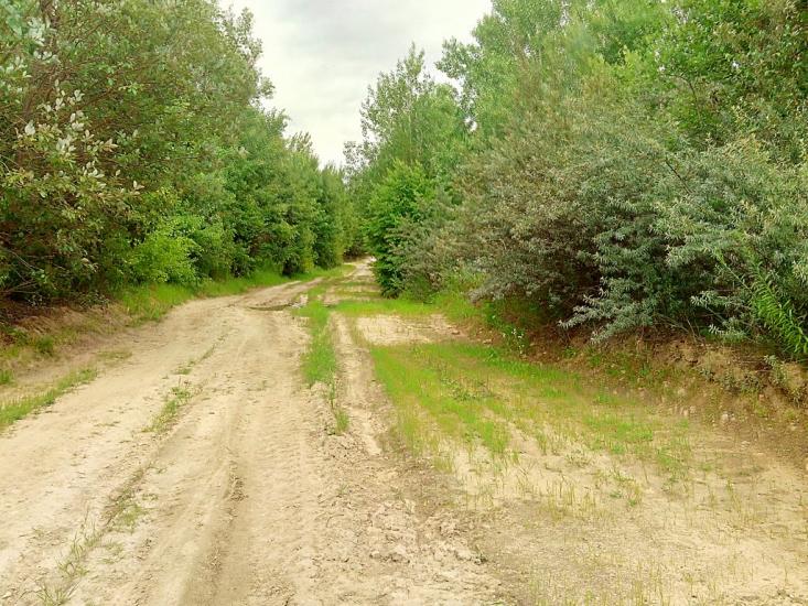 Новомильськ з panoramio.com - Новомильськ