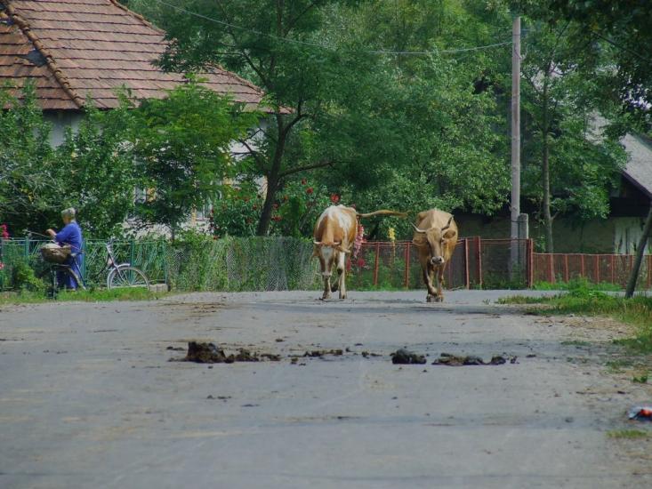 Волосянка з panoramio.com - Volosyanka