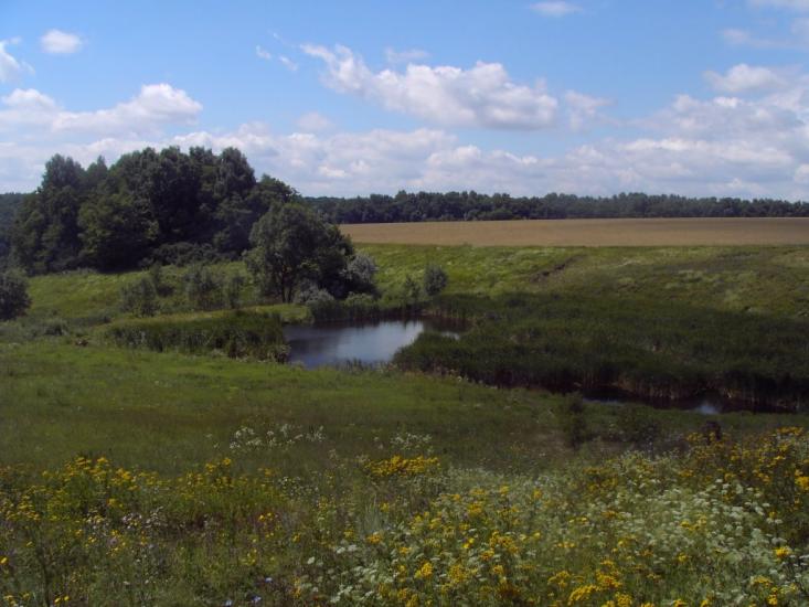 Мізяки з panoramio.com - Мізяки
