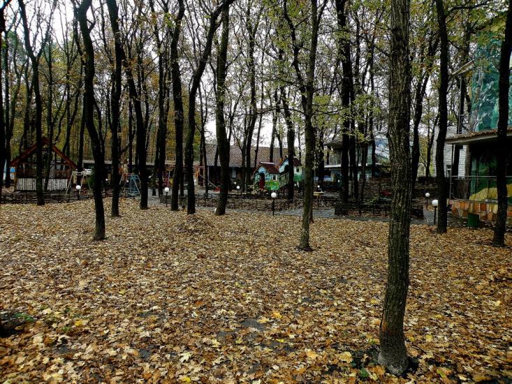Орлівщина з panoramio.com - Орловщина