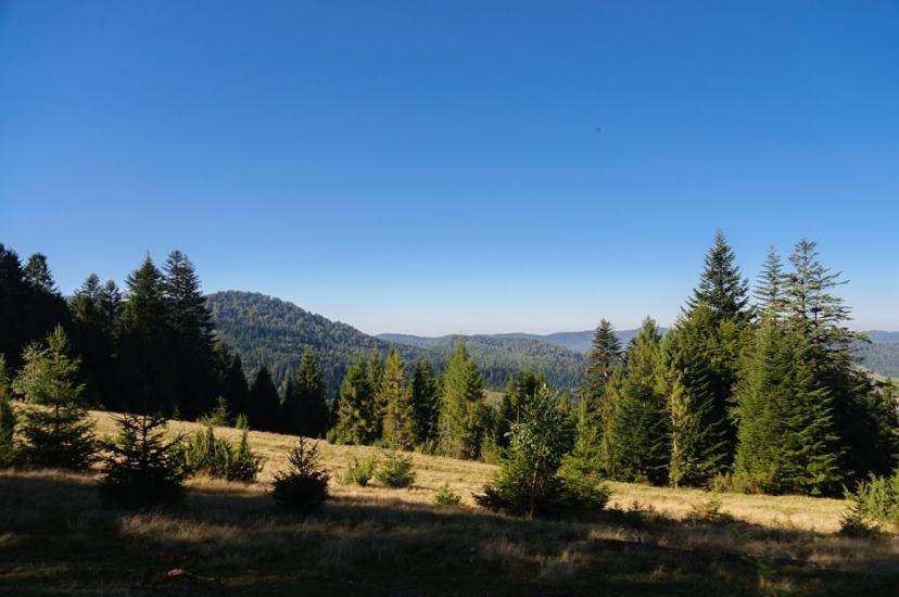 Ужок з panoramio.com - Uzhok