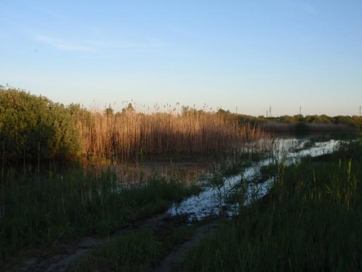 Неданчичі з panoramio.com - Неданчичи