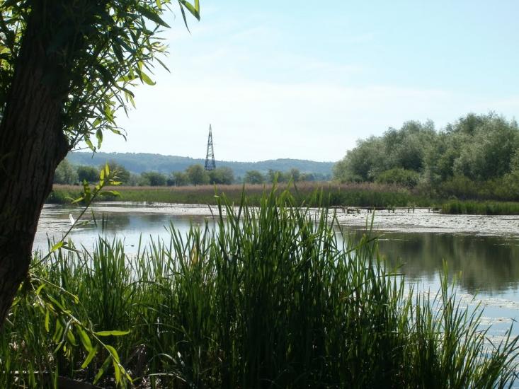 Дубівці з panoramio.com - Дубовцы